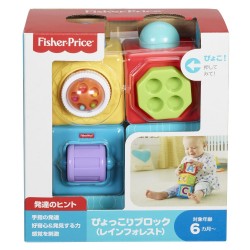 FISHER PRICE - ΚΥΒΟΙ ΔΡΑΣΤΗΡΙΟΤΗΤΩΝ (DHW15)